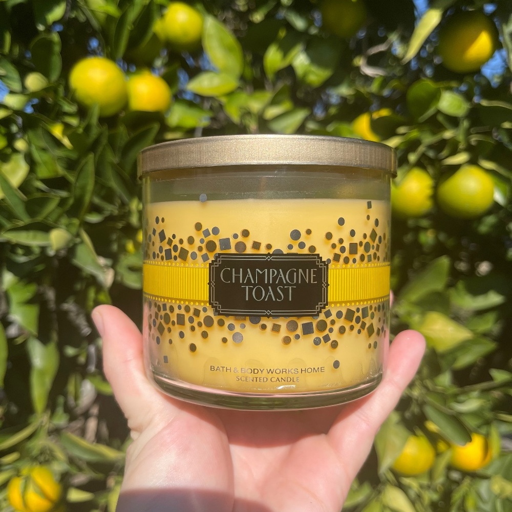 Champagne Toast Original Scent Bath and Body Works Candle 2013